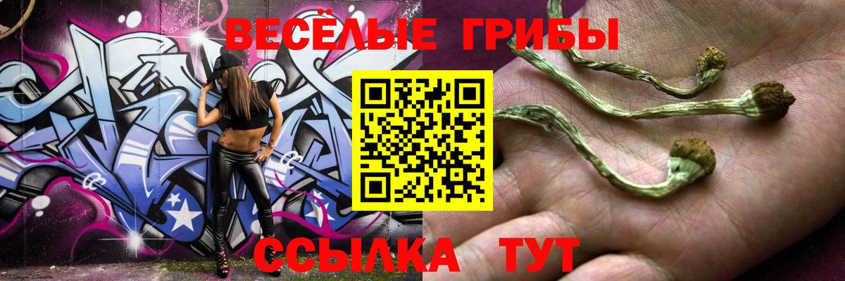 Барабинск  Галлюциногенные грибы Psilocybe  Псилоцибиновые грибы Cubensis  Вход с VPN 