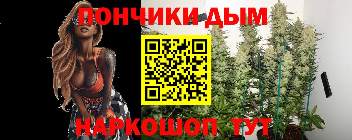 Марихуана сатива Барабинск